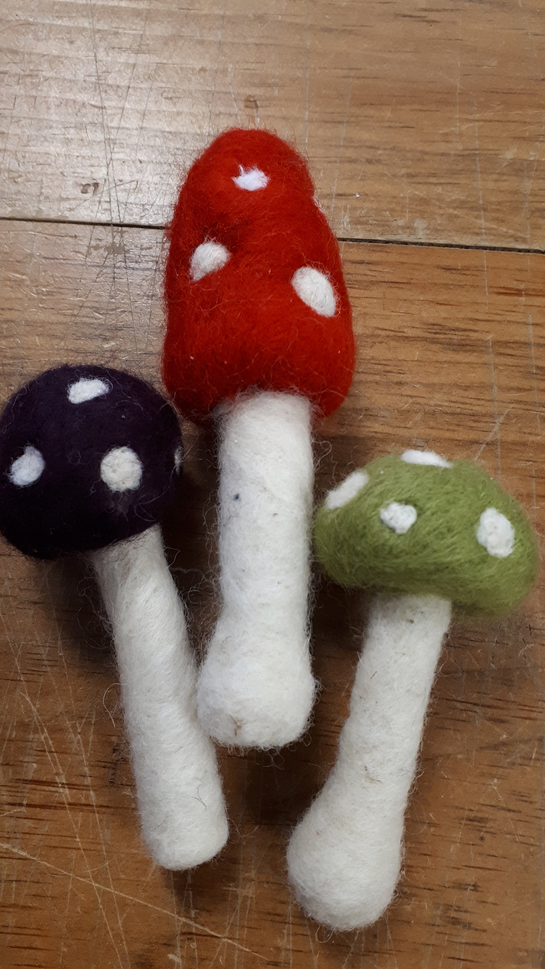 Felted Mushroom Kit