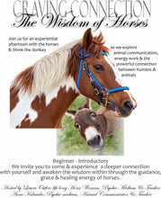 Craving Connections - The Wisdom of Horses