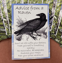 Nature's Guidance Oracle Cards