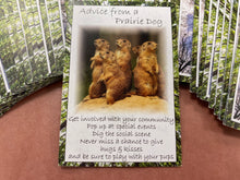 Nature's Guidance Oracle Cards