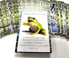 Nature's Guidance Oracle Cards
