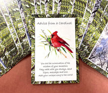 Nature's Guidance Oracle Cards
