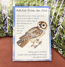 Nature's Guidance Oracle Cards