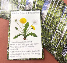 Nature's Guidance Oracle Cards