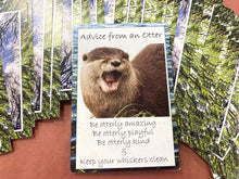 Nature's Guidance Oracle Cards