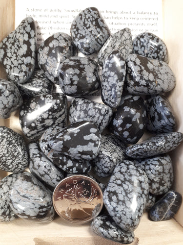 Snowflake Obsidian stone